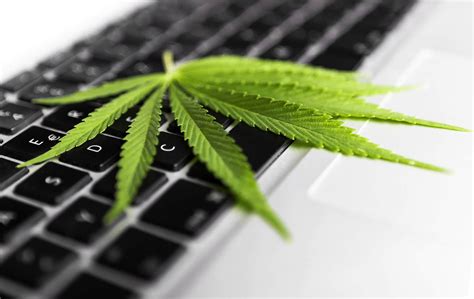 5 Ways Technology Is Helping The Cannabis Industry