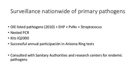 Presentation 211 Specific Pathogen Free Spf Specific Pathogen Res