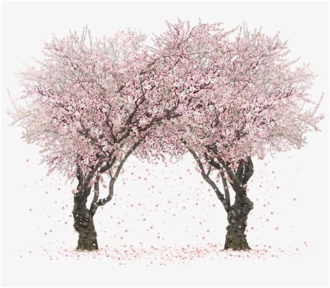 Sakura Trees By Rosemoji On Deviantart Svg Transparent Transparent