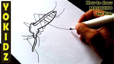 How To Draw Mosquito For Kids Youtube