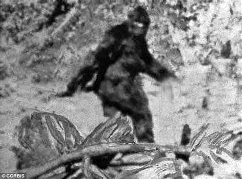 Sasquatch Hunter Mk Davis Claims To Have Video Footage Of The