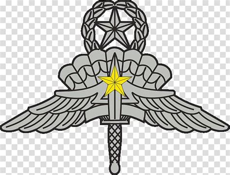 Military Freefall Parachutist Badge United States Army High Altitude