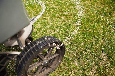 Grasscycling refers to letting grass clippings lie on the lawn after cutting. Grub Control, Watering, & Other Lawn Tips | HouseLogic