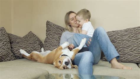 Put bedding and chew toys in the crate. Happy Mother And Son Family On The Home Floor With ...