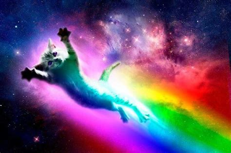 Rainbow Kitty Funny Cat Pictures Neon Cat Nyan Cat