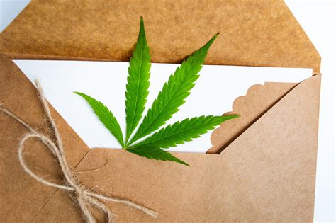 Top Cannabis Delivery Services In Colorado