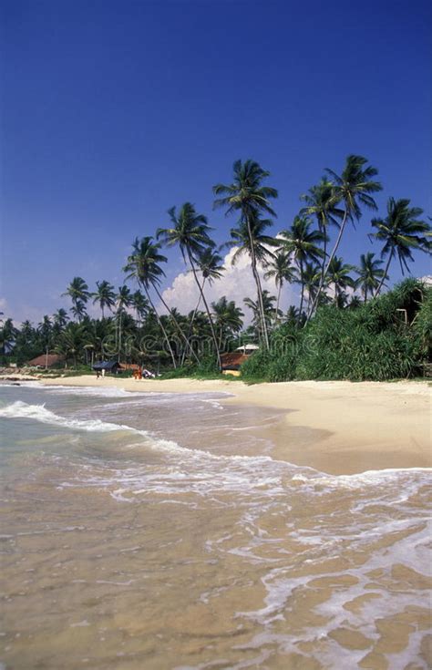 Sri Lanka Hikkaduwa Beach Editorial Photo Image Of Indian 72118976