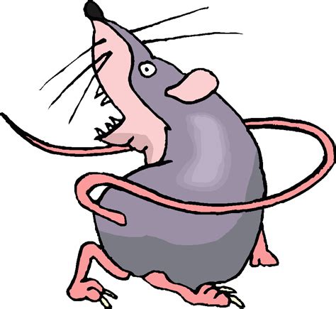 Cartoon Rat Cute And Funny Rat Images