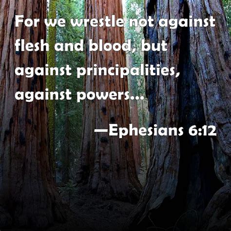 Ephesians 612 For We Wrestle Not Against Flesh And Blood But Against