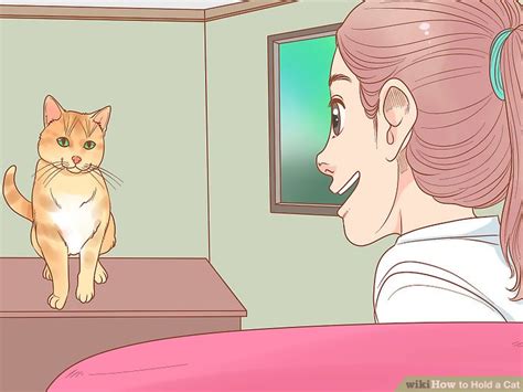 5 Ways To Hold A Cat Wikihow