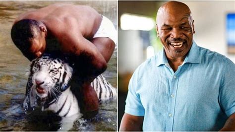 Tyson e la sua tigre storia choc Strappò il braccio a una donna