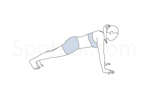 The Plank Pose Helps To Build Abdominal Strength Improves Posture And