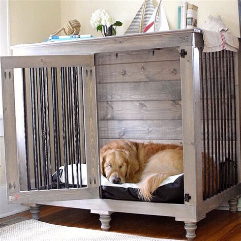 Crate Training 6 Steps For Teaching Your Dog To Love Their Crate