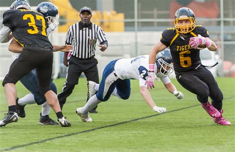Dal Football Secures Homecoming Victory Dalhousie Gazette