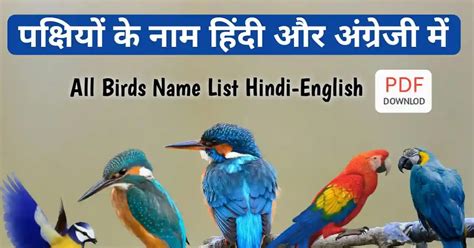 All Birds Name List In Hindi And English Pdf पक्षियों के नाम