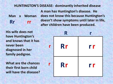 ppt lesson 18 using punnett squares and pedigrees powerpoint presentation id 2728084