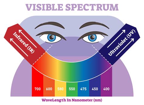 The Visible Spectrum Overview With Colors Listed In Order Of