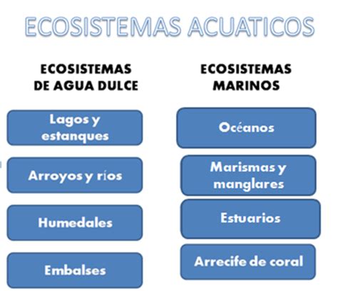 Cuadros Comparativos Entre Ecosistemas Terrestres Y Acuáticos Cuadro