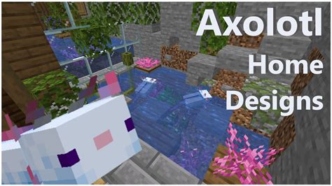 Rare Axolotl On Minecraft Minecraft Axolotls Come In Five Colours