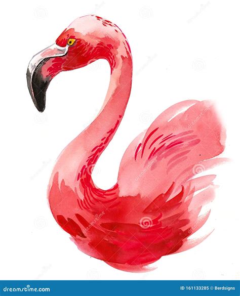 Pink Flamingo Stock Illustration Illustration Of Flamingo 161133285
