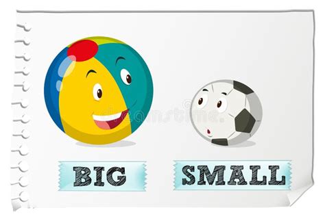 Opposite Adjectives Big And Small Stock Vector Image 64022984