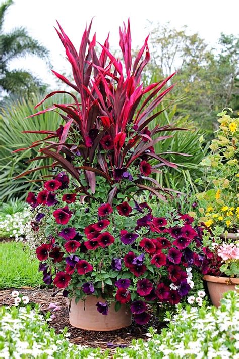 42 Stylish Colorful Shade Garden Pots Ideas For Small Spaces