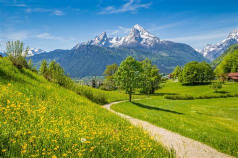 Idyllic Spring Landscape In The Alps With Meadows And Flowers Stock
