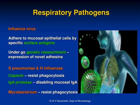 Respiratory Infection