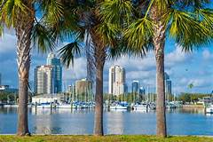 Discover The Best Of Sarasota Real Estate On Zillow