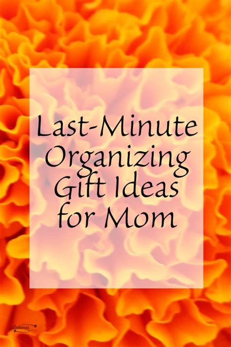 Be it planned or not, pregnancy surprises a lot of young women. Last-Minute Organizing Gift Ideas for Mom | Sabrina's ...