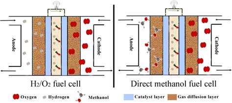 E Schematic Of H 2 O 2 Fuel Cell And Direct Methanol Fuel Cell