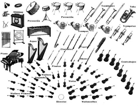 Clasificación De Instrumentos Orden De Los Instrumentos En Una Orquesta