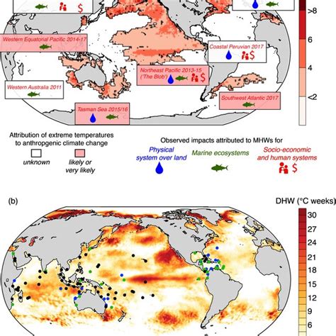 3 Examples Of Recent Marine Heatwaves And Their Observed Impacts A