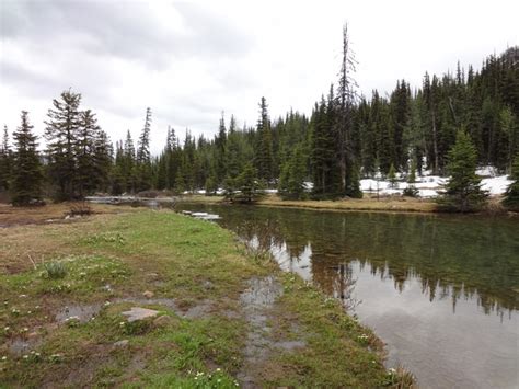 Taylor Lake Hike Albertawow Campgrounds And Hikes