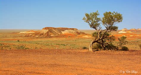 The Painted Desert Near Oodnadatta Foto And Bild Australia