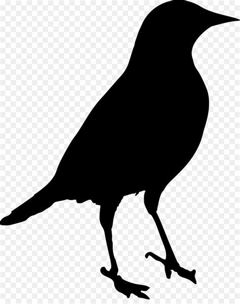Drawing Crow Silhouette Crow Like Bird Wildlife Crow Clip Art Library