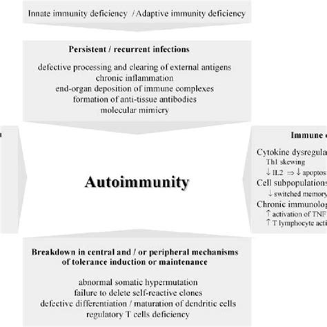 Pdf Autoimmunity In Common Variable Immunodeficiency