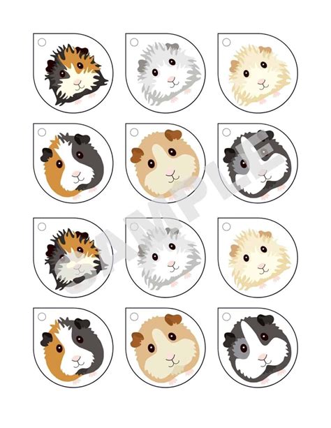 Guinea Pig Party Ideas And Free Printable Decorations Parties Made