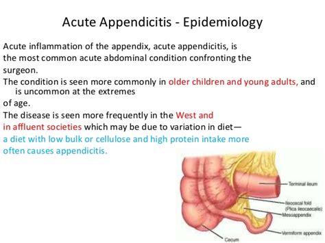 Fecal material is thought to be one possible cause of obstruction. L acute appendicitis