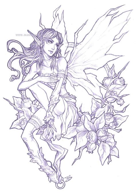Pencil Blueberry Fairy Fairy Drawings Fairy Coloring Pages Fairy