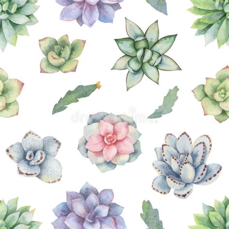 Watercolor Vector Seamless Pattern Of Cacti And Succulent Plants