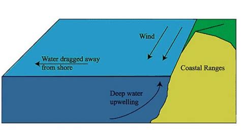 The Science Of Upwelling How The Ocean Surface Randomly Cools Off The Inertia
