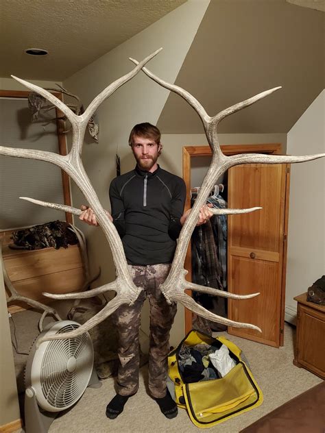 Who Likes Big Elk Sheds Kentucky Hunting