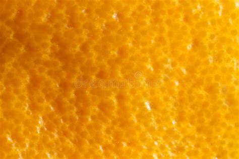 Orange Peel Texture Stock Image Image Of Background 17574173