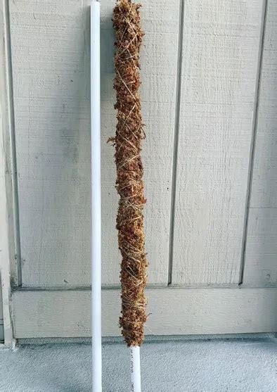 Now that i really needed one i went about making my own and you can. How to Make an Easy DIY Moss Pole for Your Monstera ...