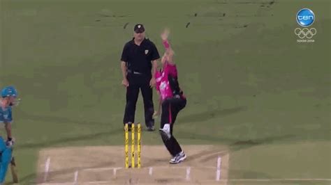 Cricket Gif Find Share On Giphy My XXX Hot Girl