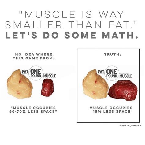 Muscle Vs Fat Density Lets Do Some Math
