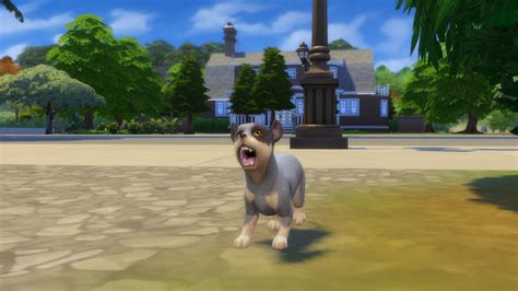 Mod The Sims Archer The Australian Cattle Dog