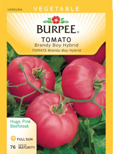 Burpee Brandy Boy Hybrid Tomato Seeds 1 Count King Soopers