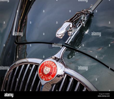 Vintage 3.4 litre Jaguar car detail - badge and chrome hood emblem and